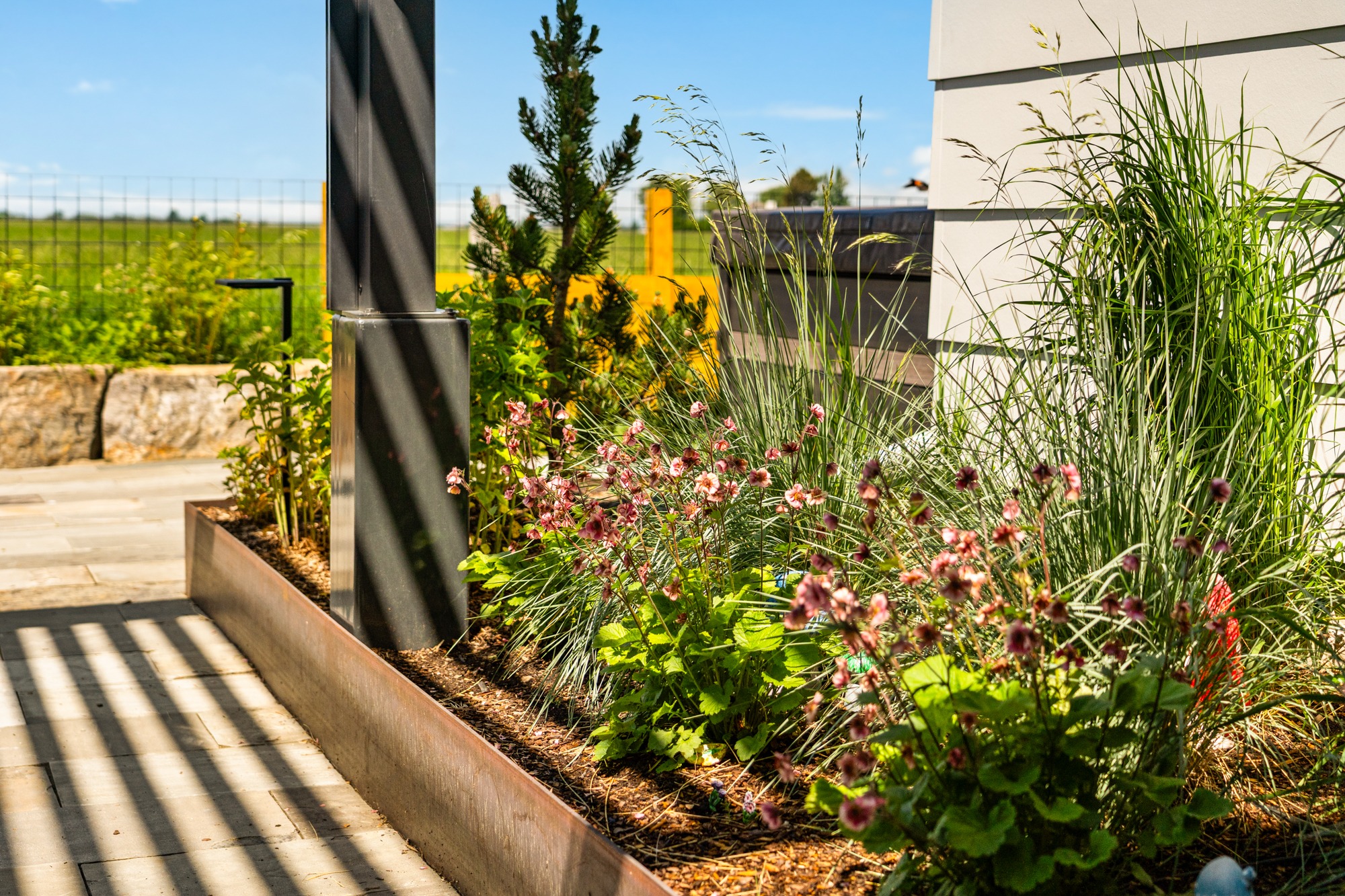 Modern garden bed with grasses and pink flowers