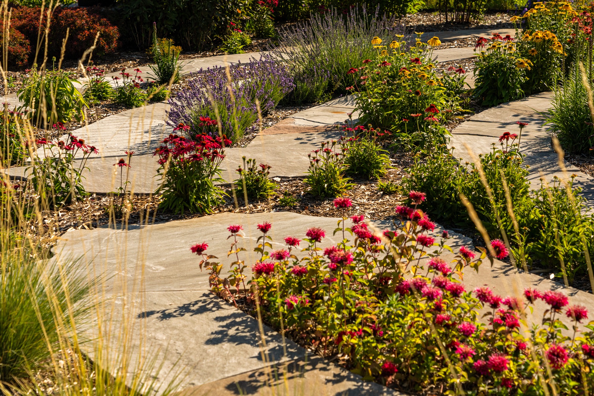 Curved stone pathway through colorful flower garden