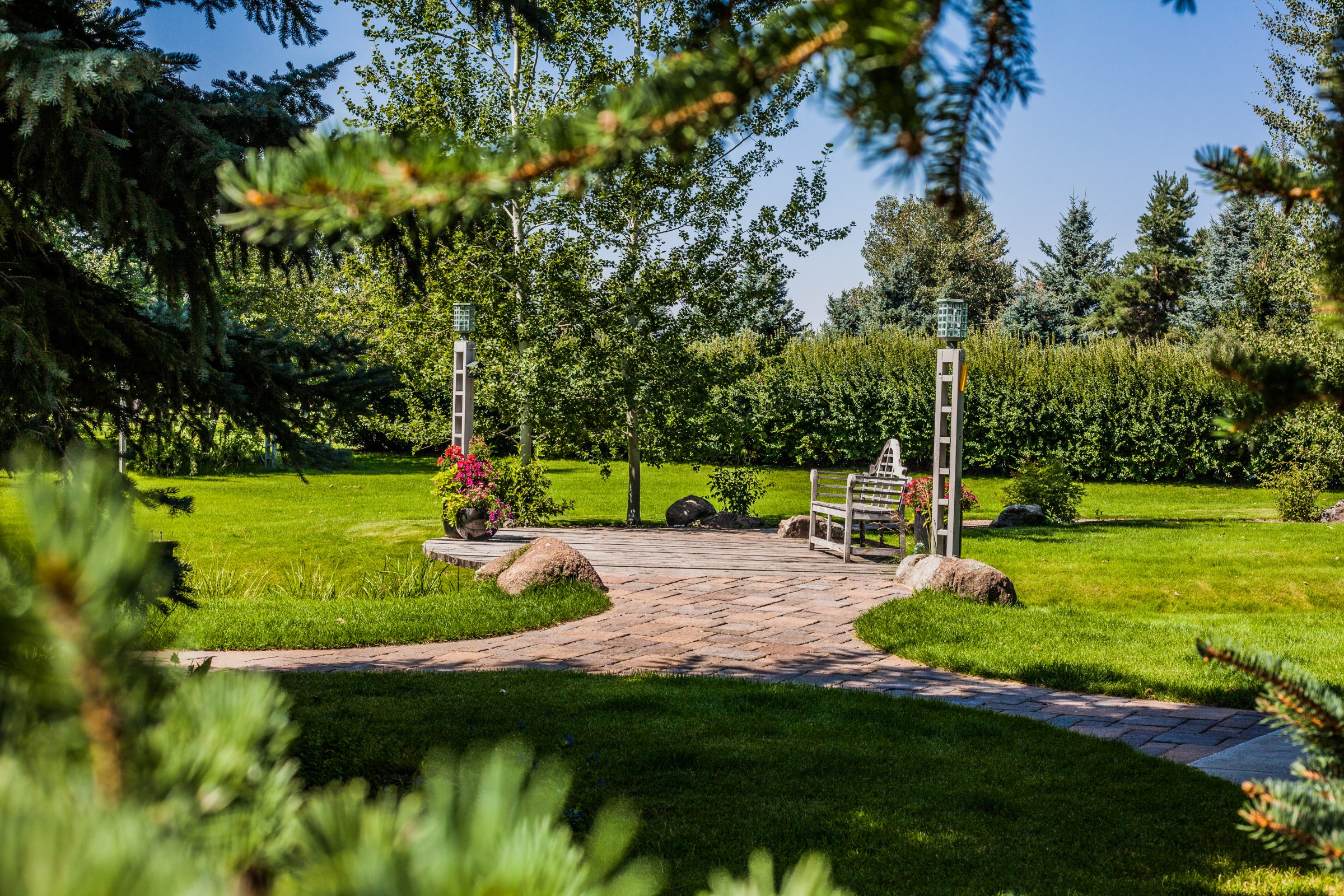Garden bench on wooden deck with lush greenery