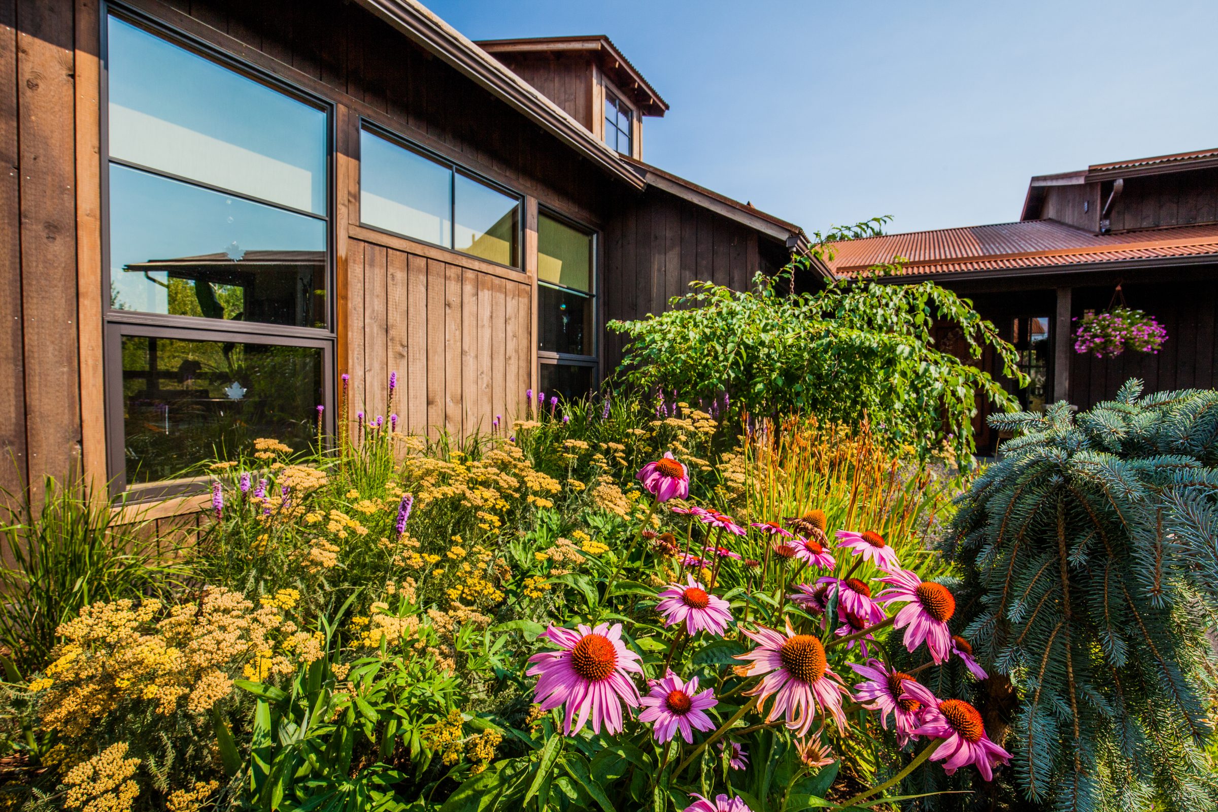 Modern wooden house with vibrant flower garden