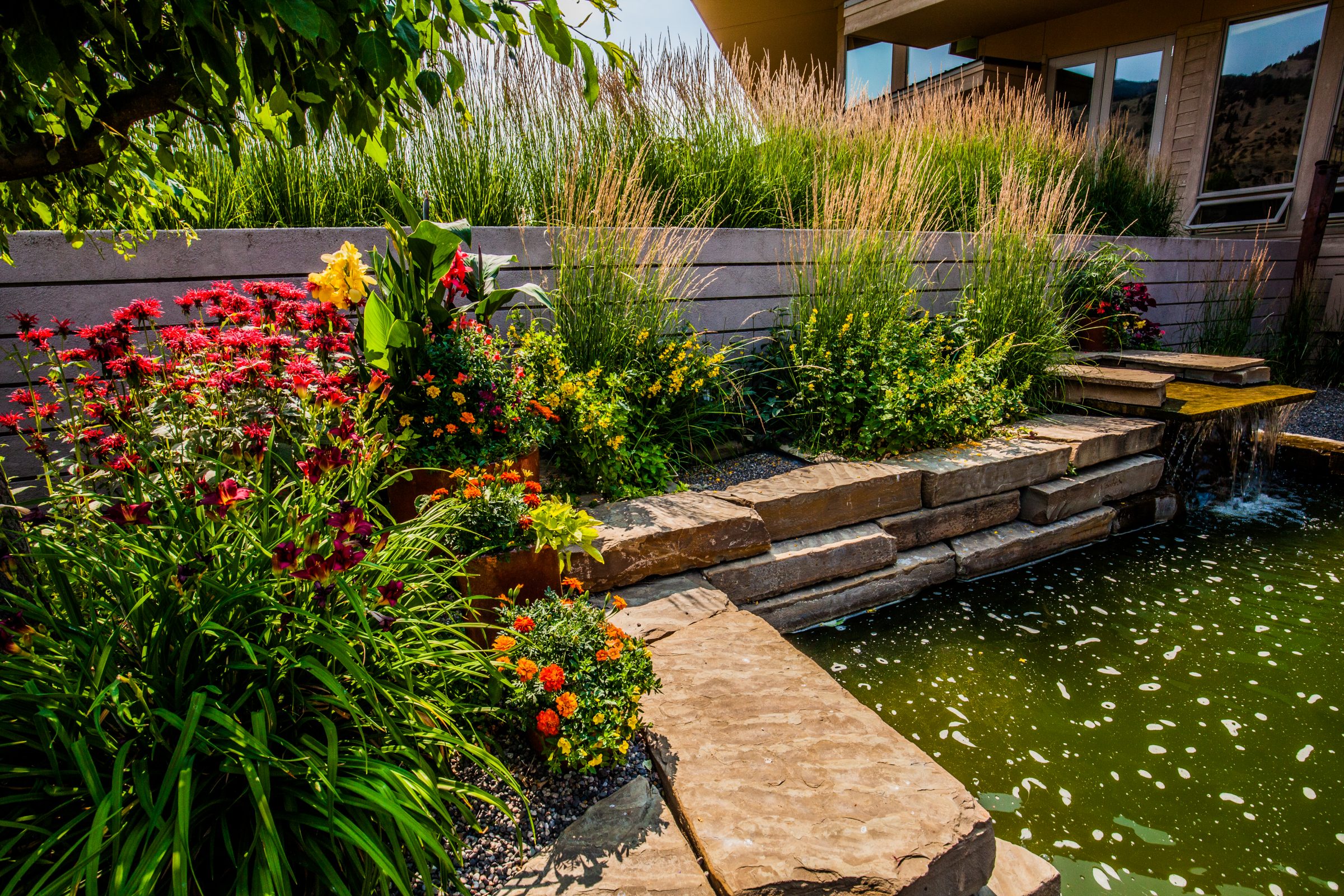 Landscaped garden with stone steps and pond