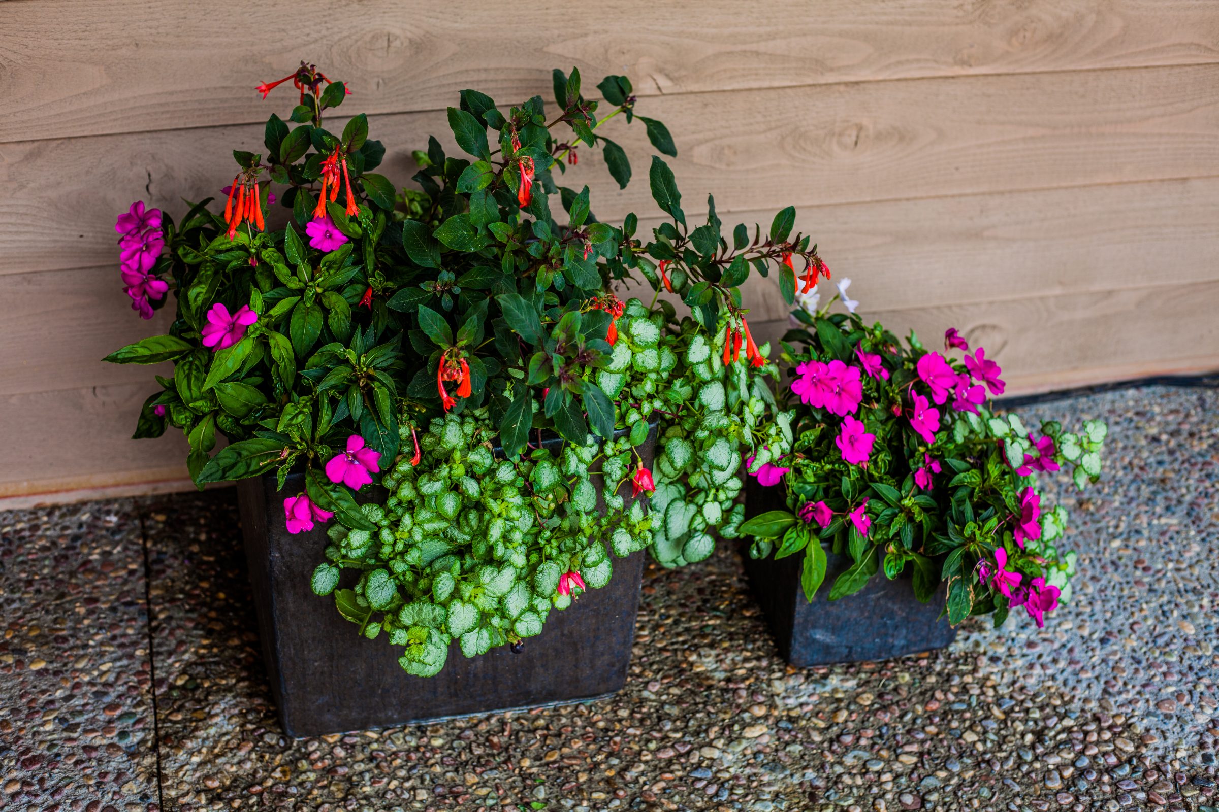 Colorful mixed flowers in black patio planters