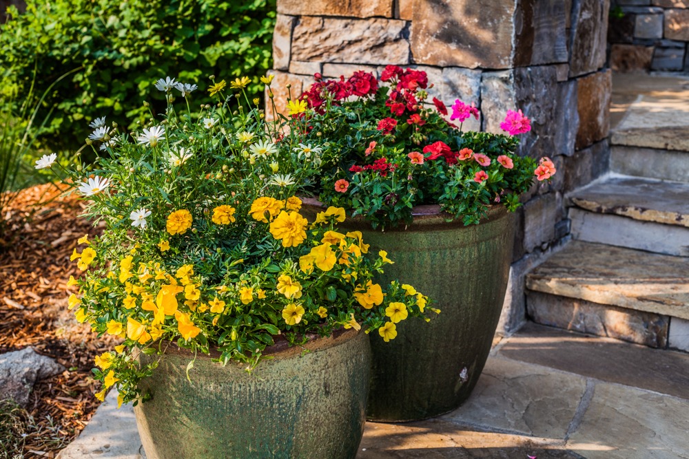 Colorful flowers in large pots by stone steps