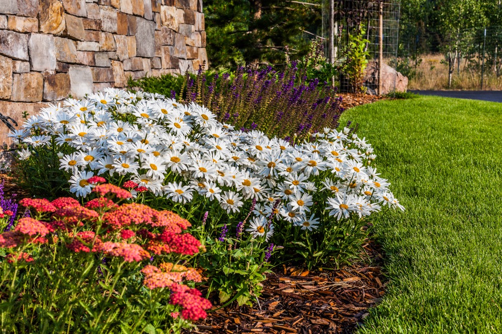 Colorful flower bed beside stone wall and lawn