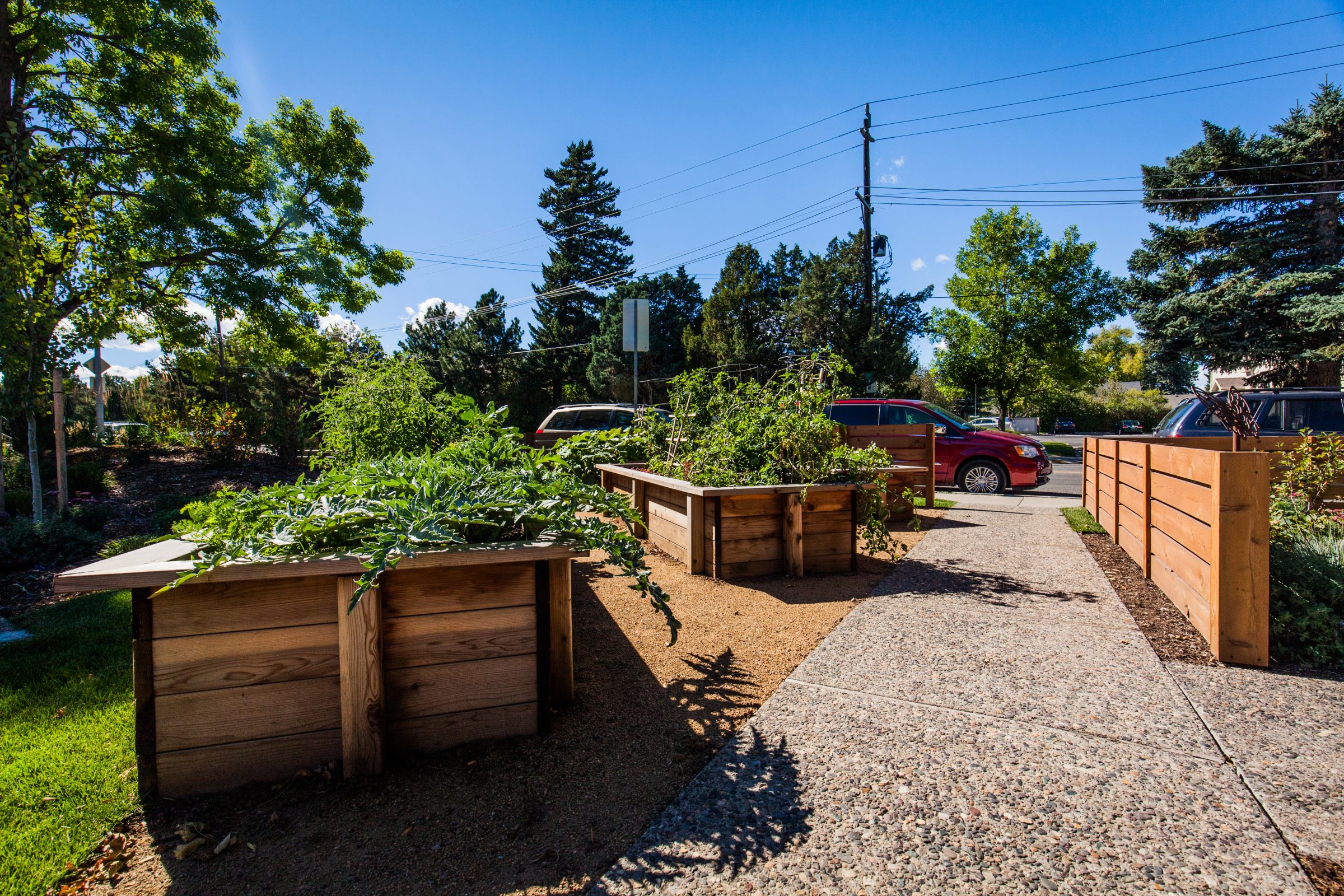 Raised wooden garden beds along sunny sidewalk