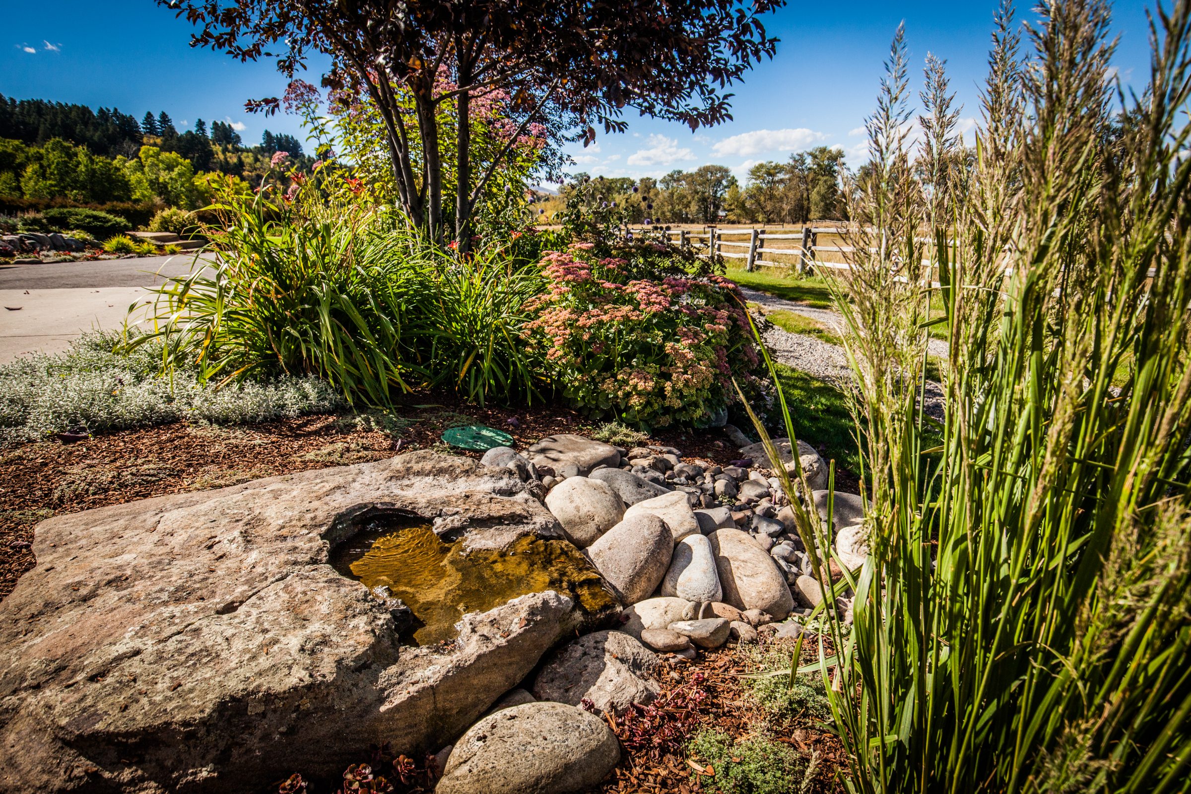 Landscaped garden with rock water feature and flowers