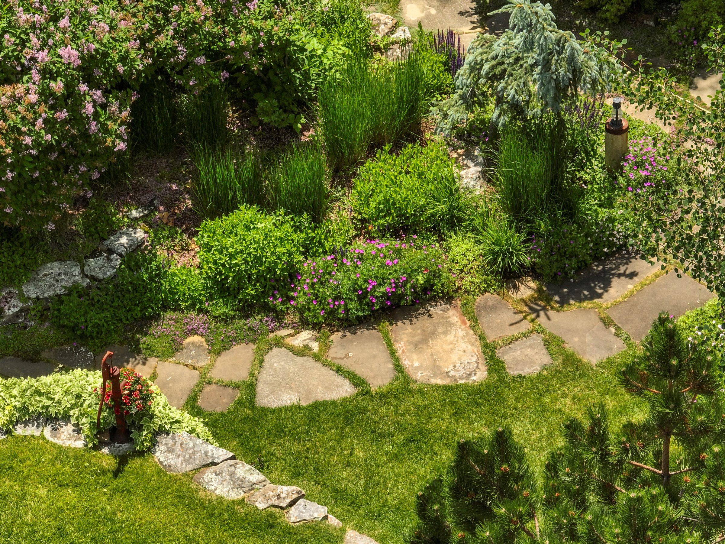 Lush garden with stone path and pink flowers