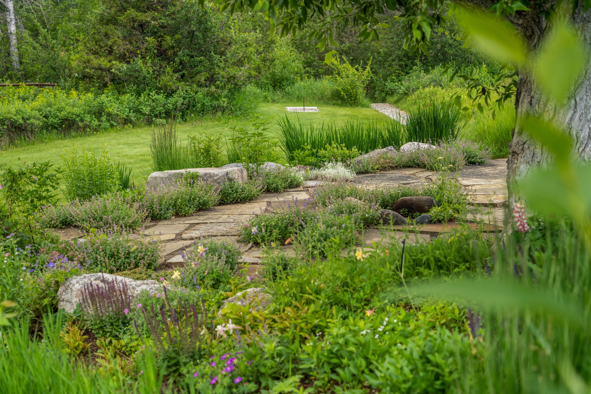 Stone garden path surrounded by lush greenery
