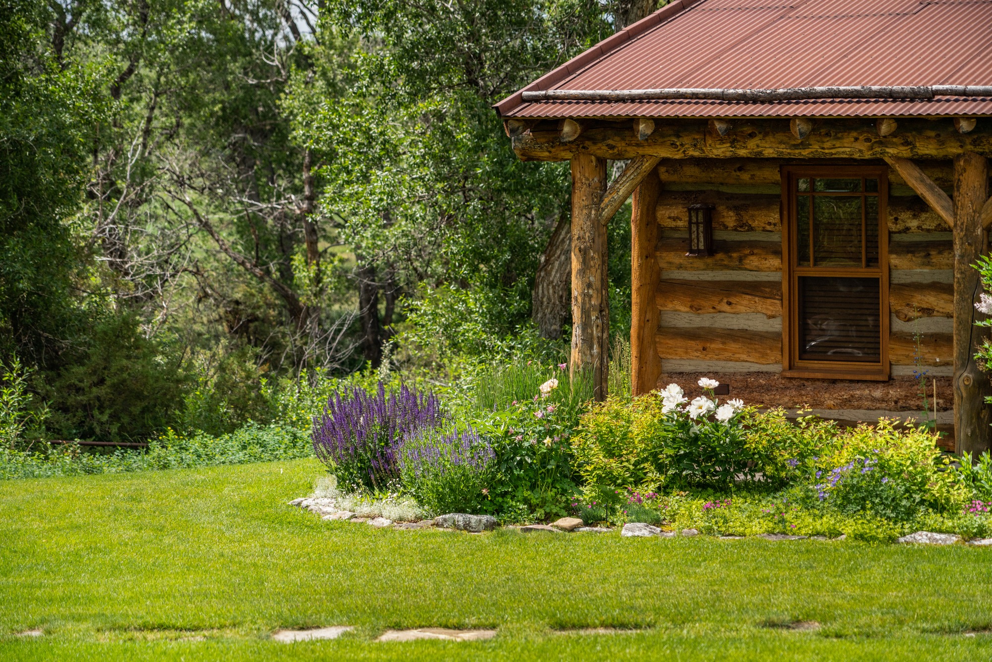 Rustic log cabin with garden and green lawn