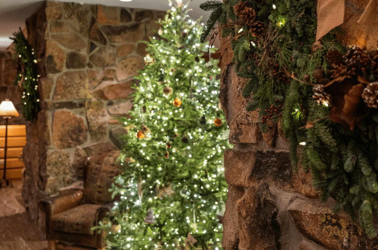 Cozy living room with lit Christmas tree