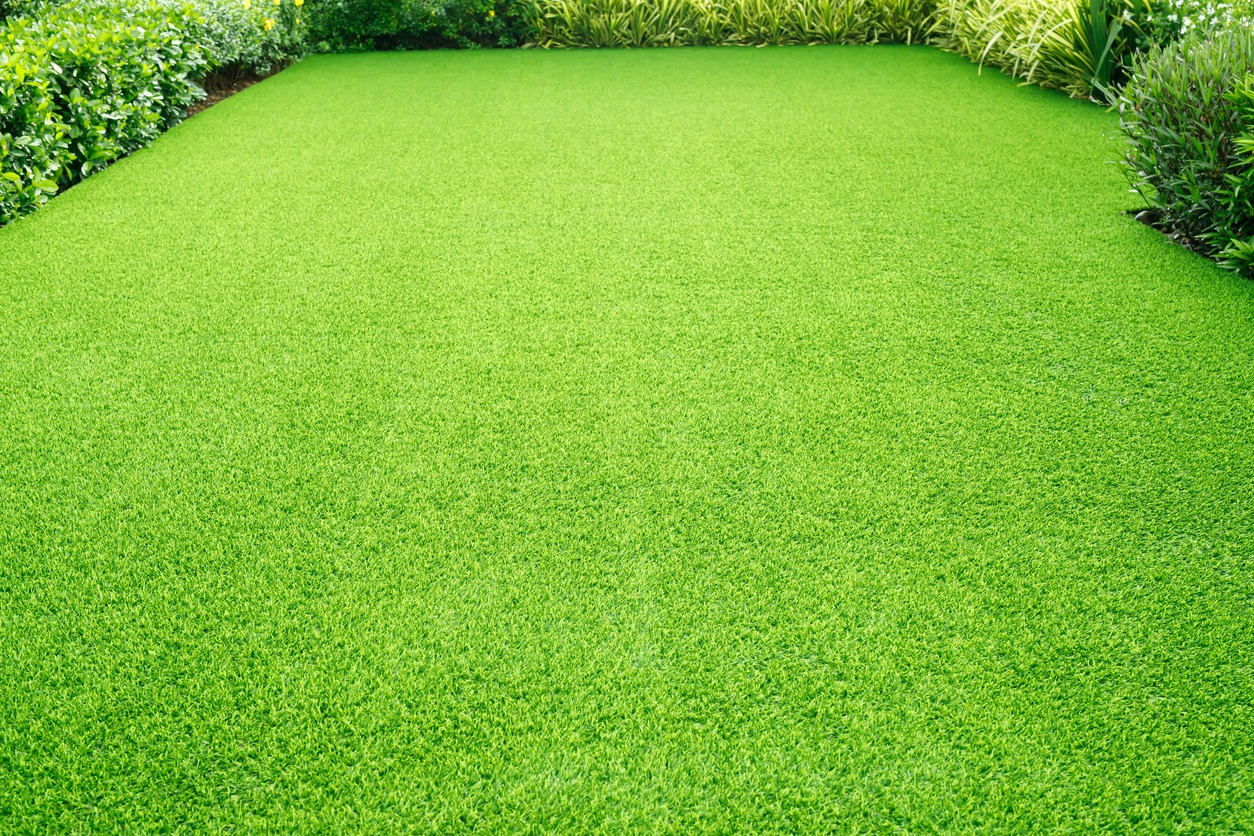 Neatly manicured green lawn with surrounding hedges