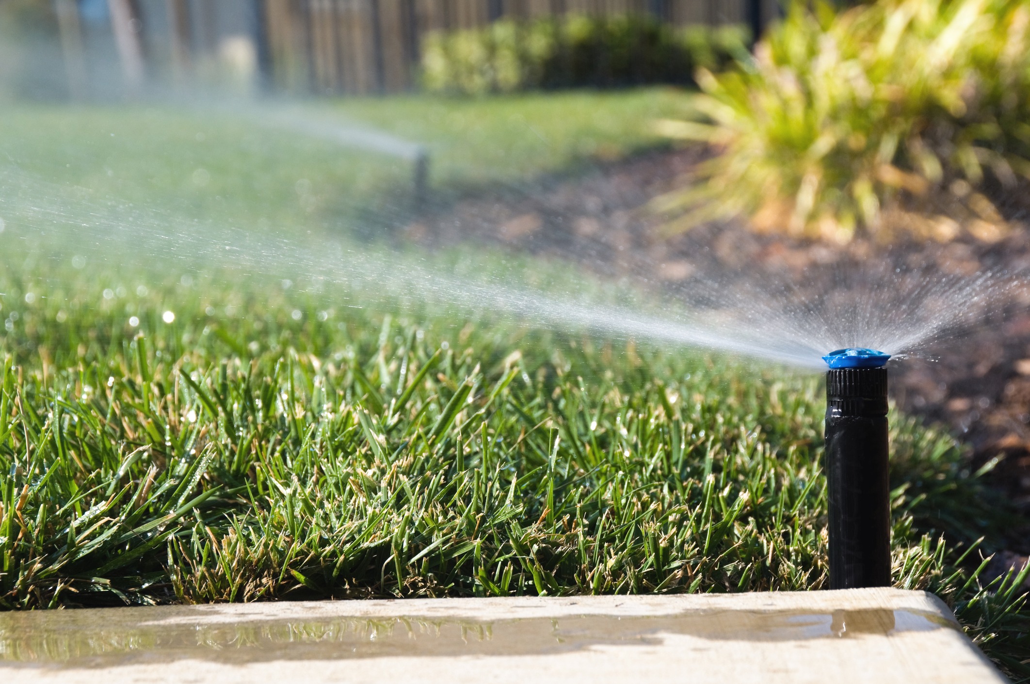 Lawn sprinkler spraying water over green grass