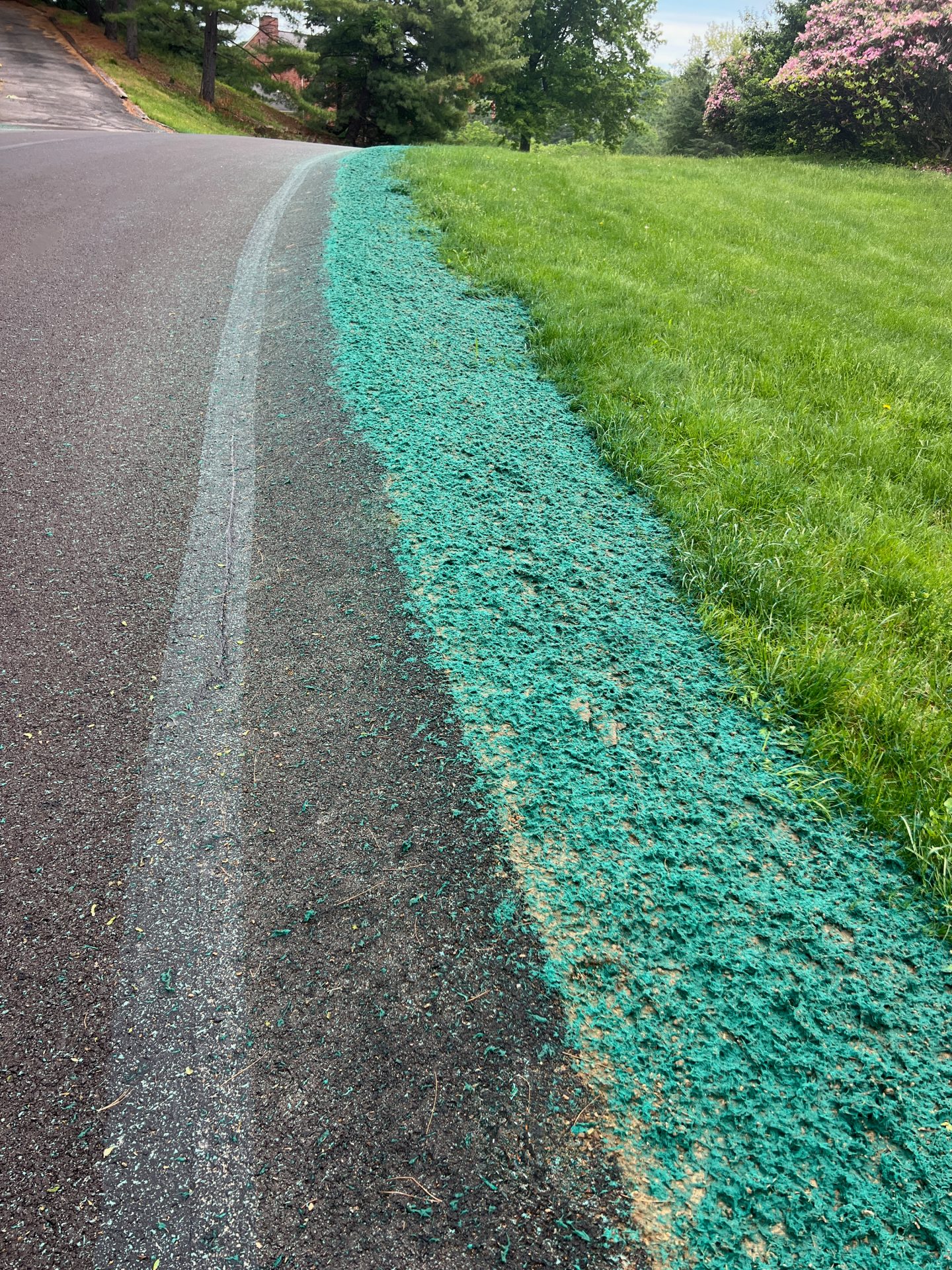 Green hydroseed lining roadside next to grass